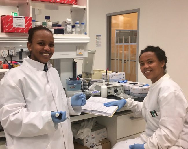 Wude Tsege and Ruth Bekele in the lab